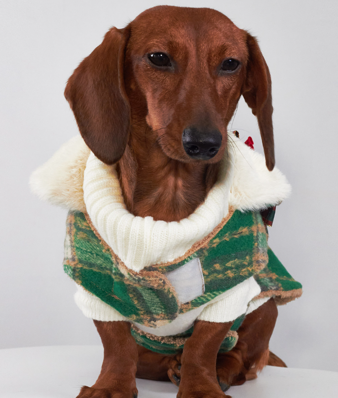 Christmas Themed Pet Clothing Dog Coats