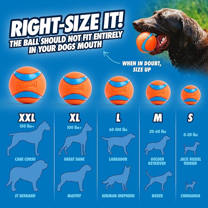 ChuckIt Dog Ultra Ball 1 Pack