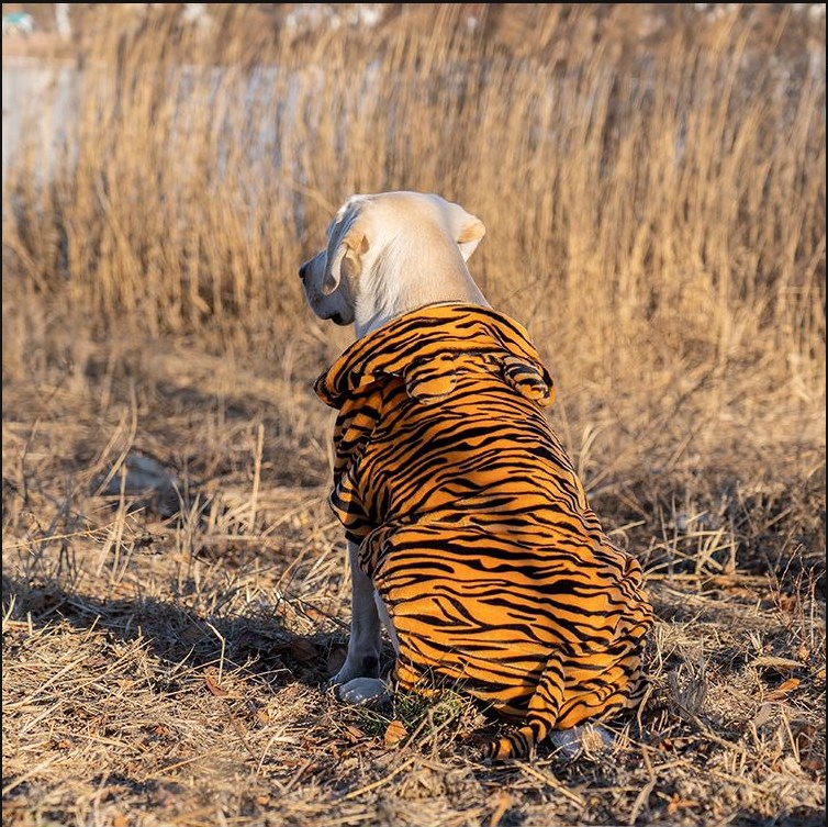 Big Clothes Year Medium-sized Large Dog