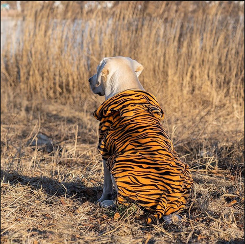 Big Clothes Year Medium-sized Large Dog
