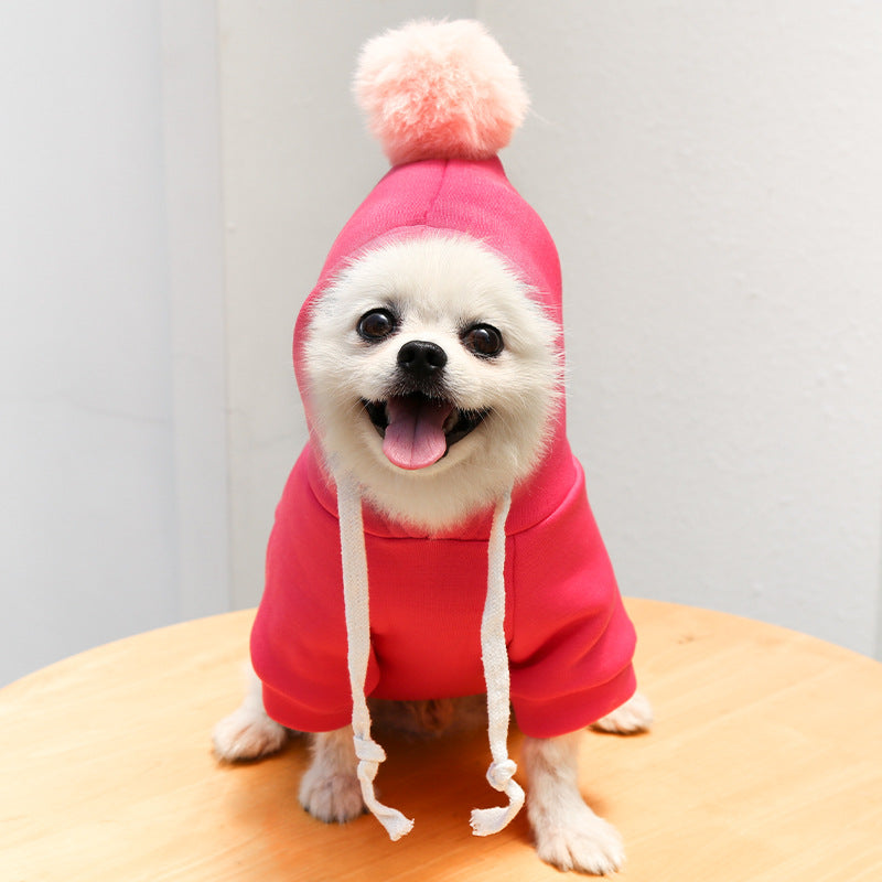 Fruit Dog Clothes Two-legged Hooded Outfits Green Fleece Clothing Autumn Winter Hoodies