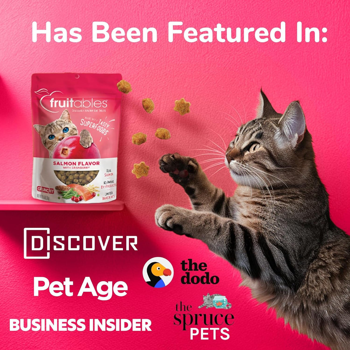 Cat Crunchy Treats  made with salmon