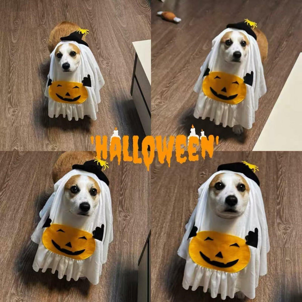 Dog Cat Halloween Pumpkin Ghost Costume Funny Cute Pet Outfit Medium